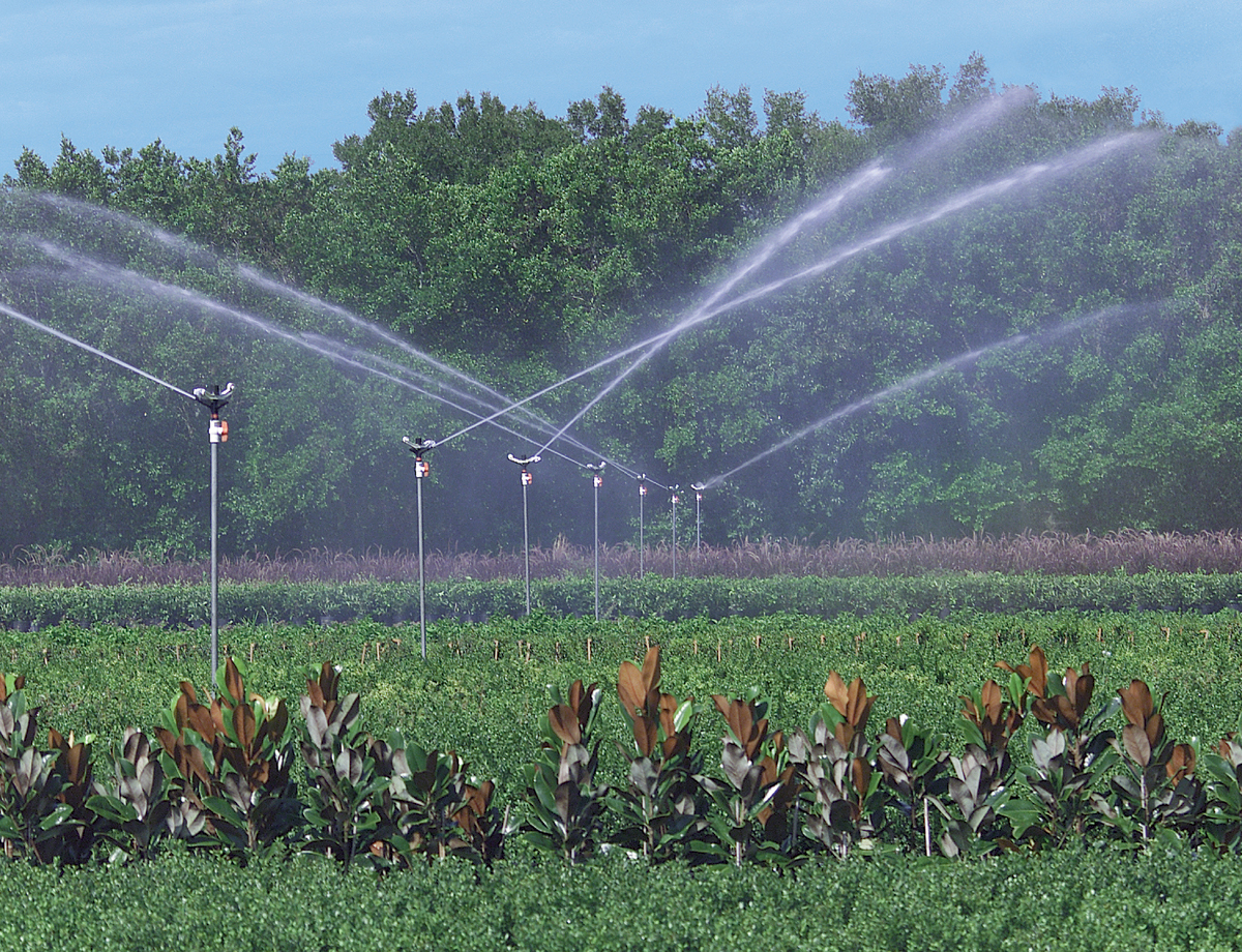 Aspersion sprinkler 7025 en pépinière et pompe doseuse de fertilisation.