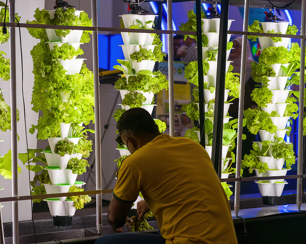 Image of an hydro garden tower