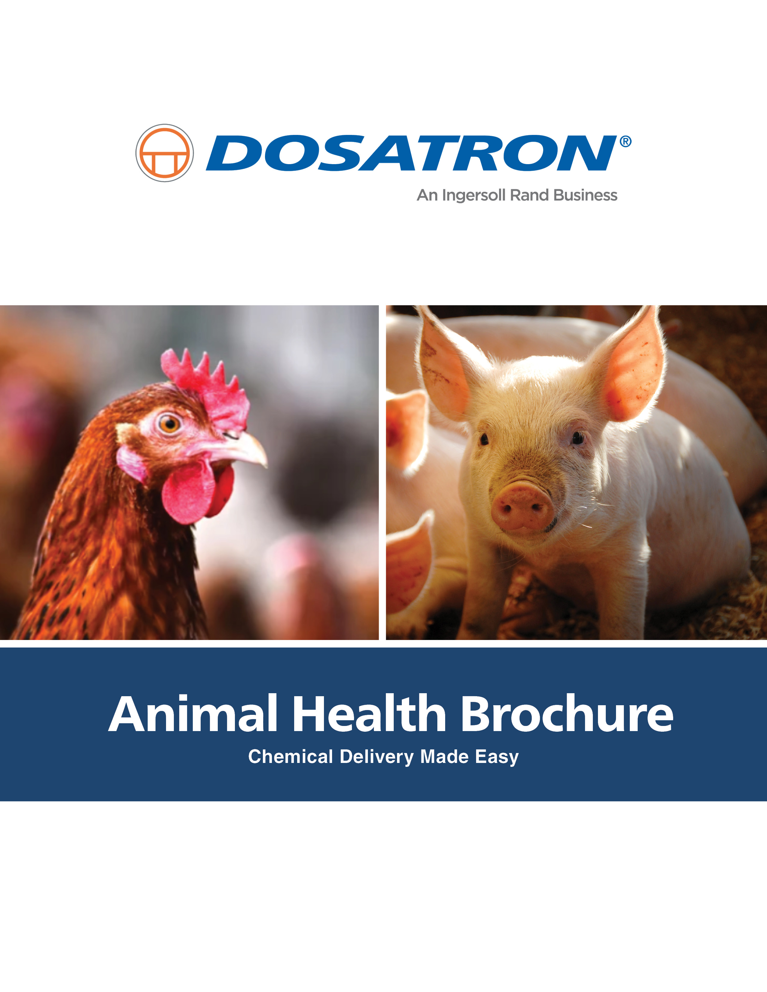 medicators-for-animal-health-literature-card-2