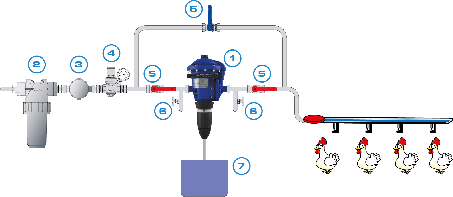 application vaccination elevage avicole