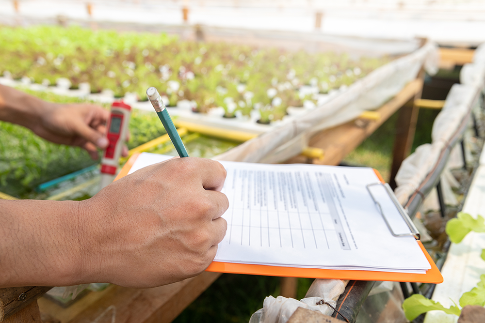 How to control Ec in hydroponics -image