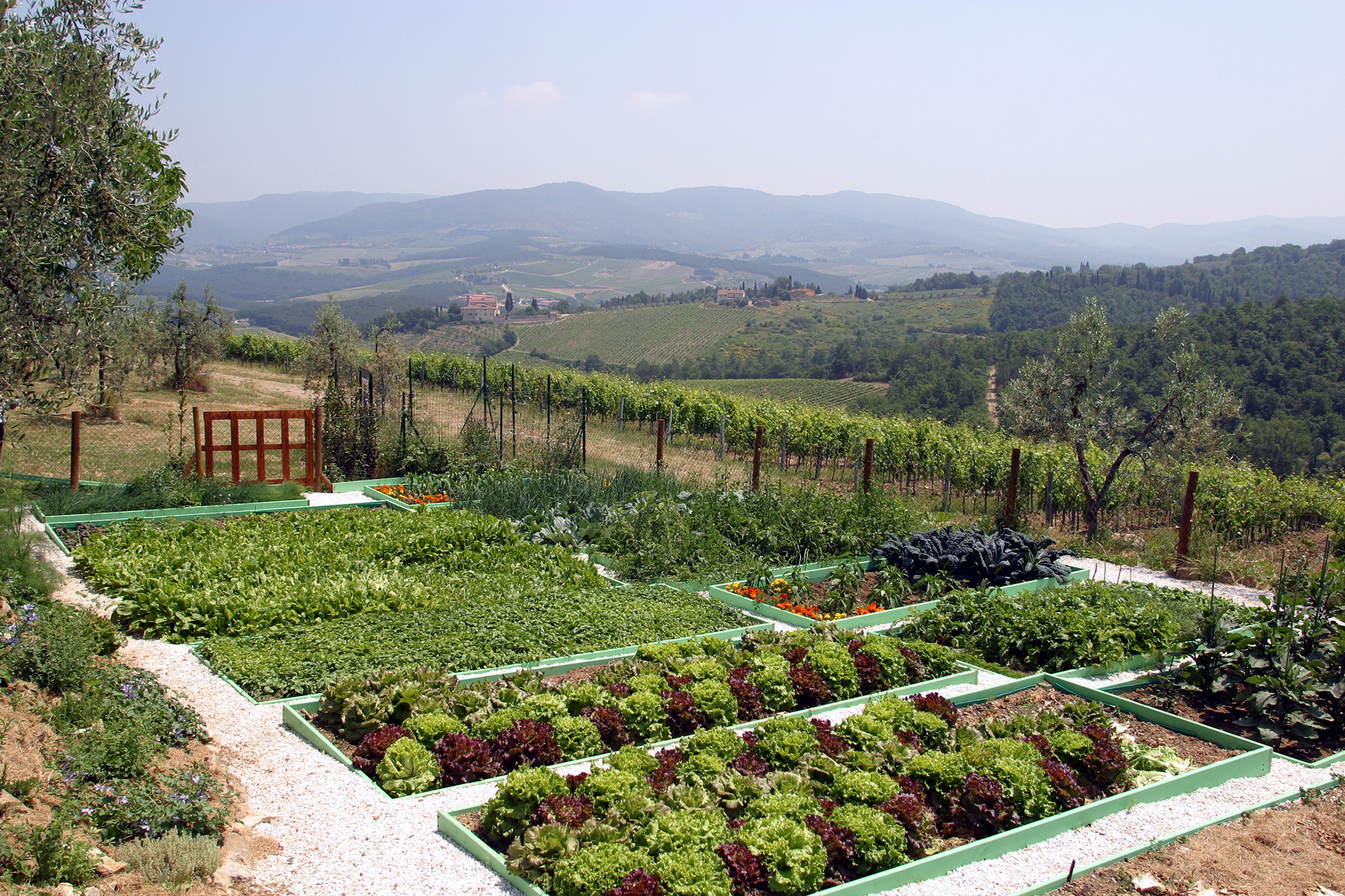 irrigation en maraichage et fertigation image4