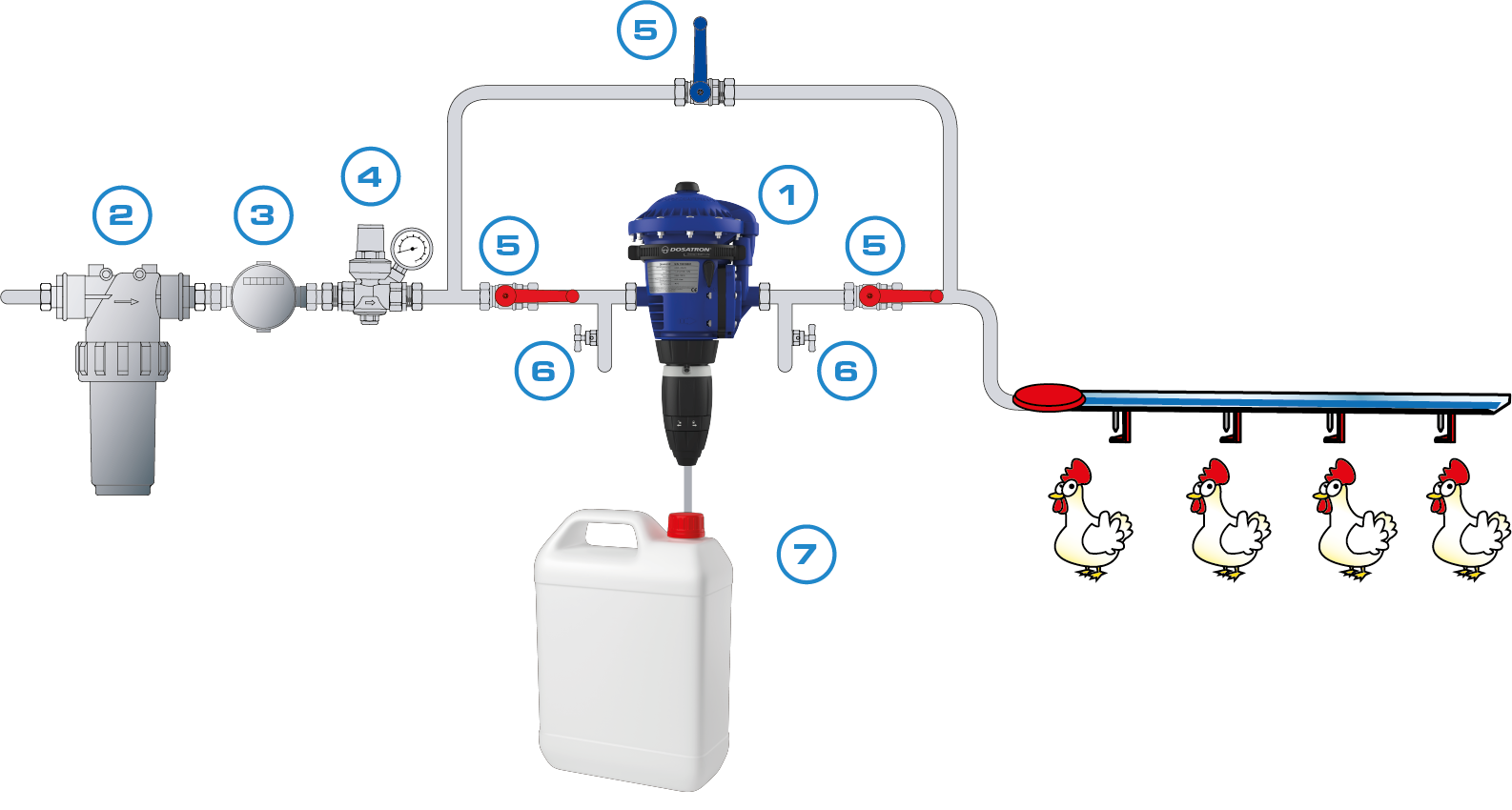 Sanitation des circuits d'eau en élevage avicole