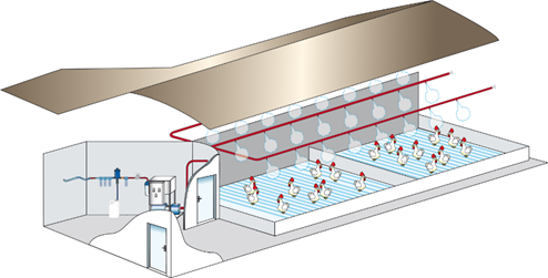 poultry air misting system recommended install