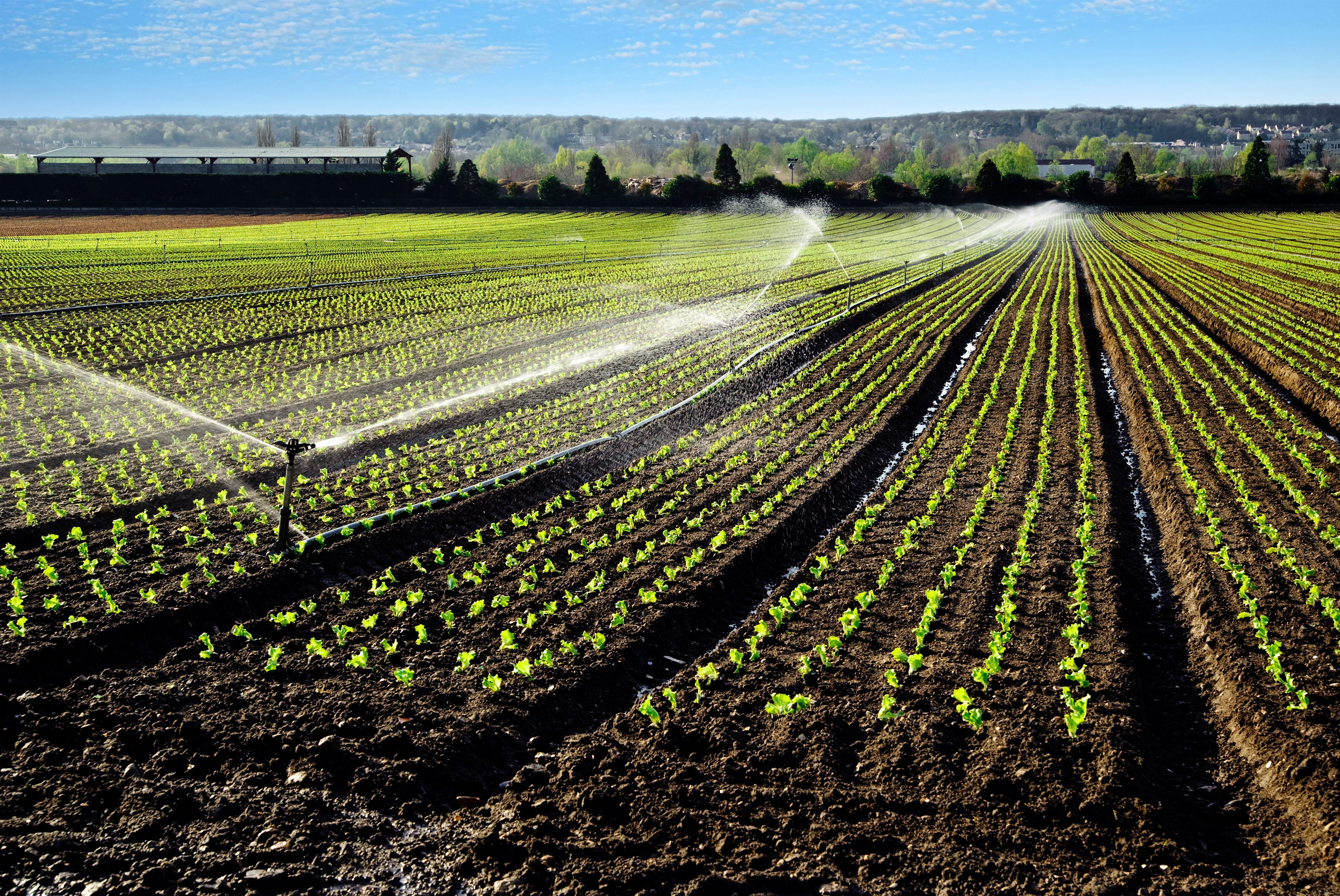 irrigation en maraichage et fertigation image5